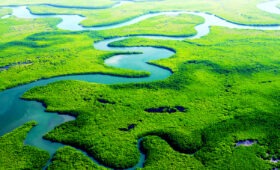 Our planet is unique for life, let‘s protect it together