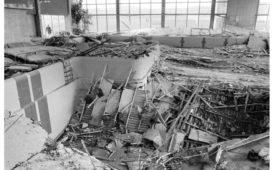 LifeOX<sup>®</sup> M  and Medium-pressure UV systems reduce the risk of pool hall collapse